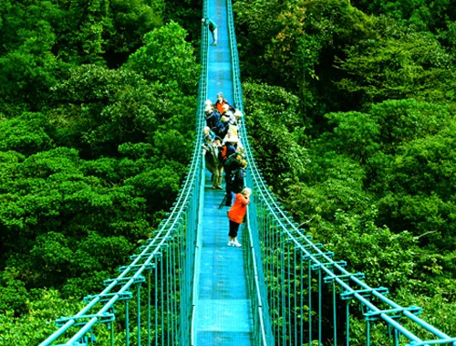 Selvatura Park hanging bridges, Monteverde